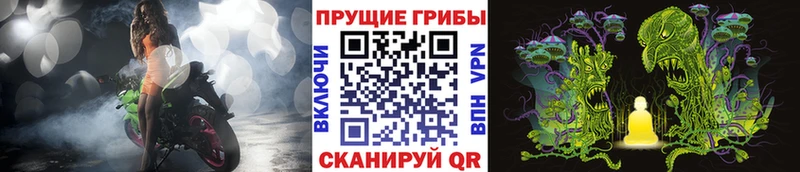 Псилоцибиновые грибы MAGIC MUSHROOMS  Елец 