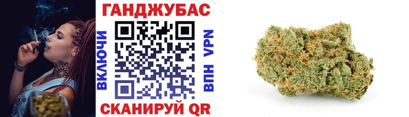 где купить   Елец  Бошки Шишки тримм 